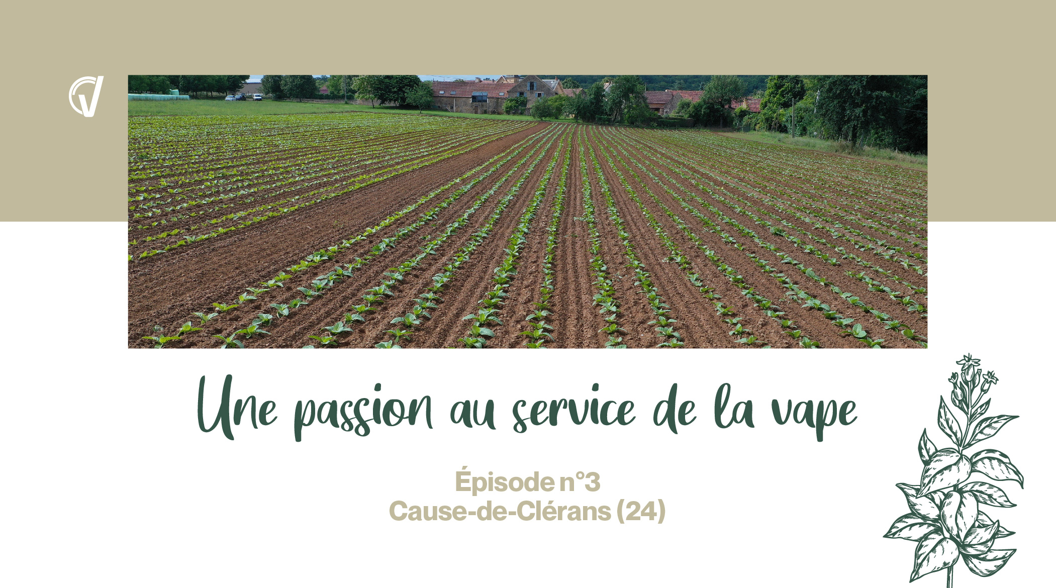 Une passion au service de la vape n°3